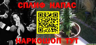 стафф Можга