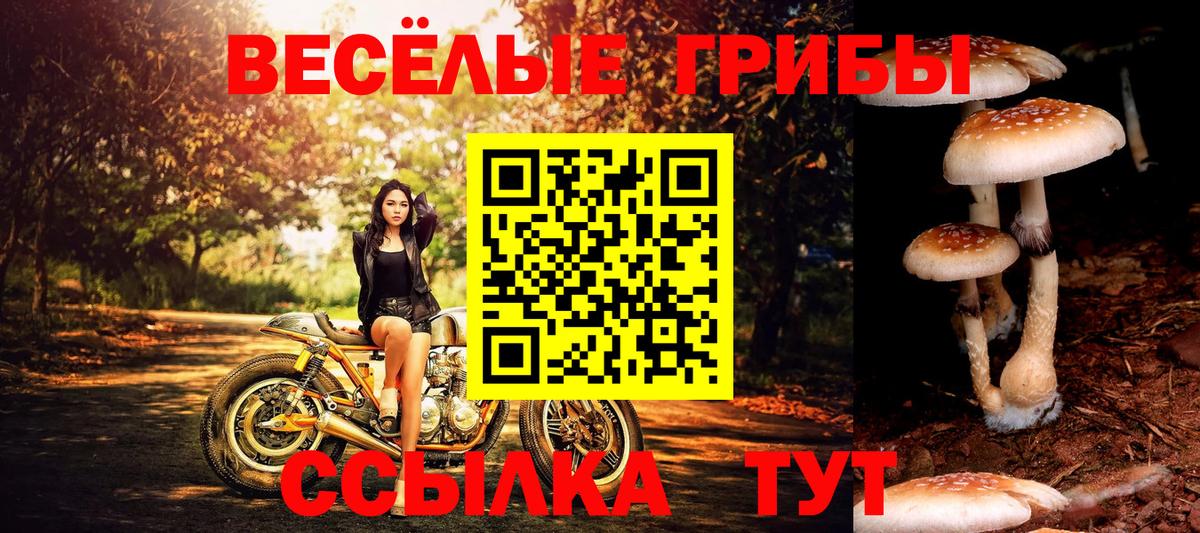 Псилоцибиновые грибы MAGIC MUSHROOMS Барабинск